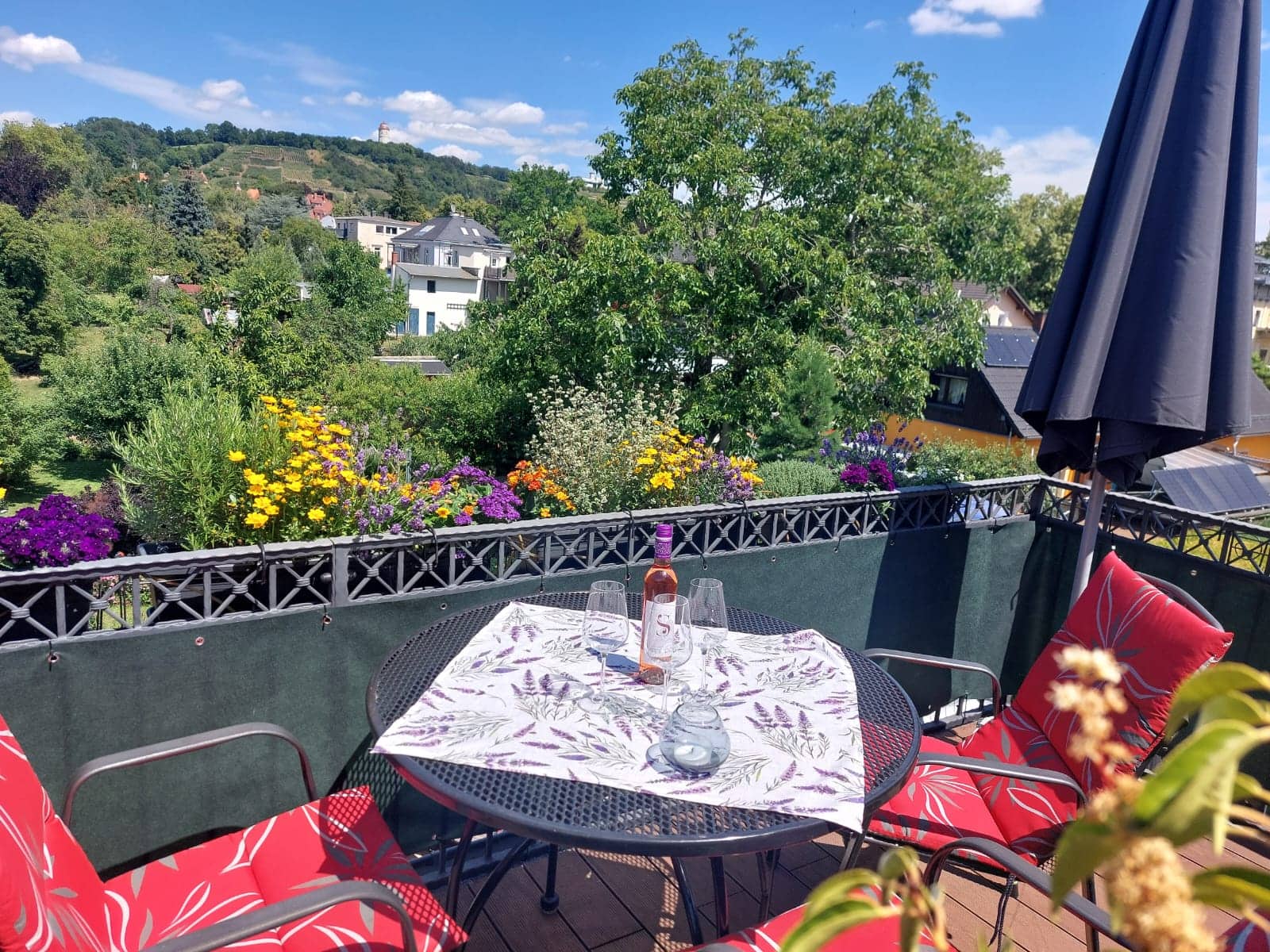View from the balcony across the garden to the vineyards
