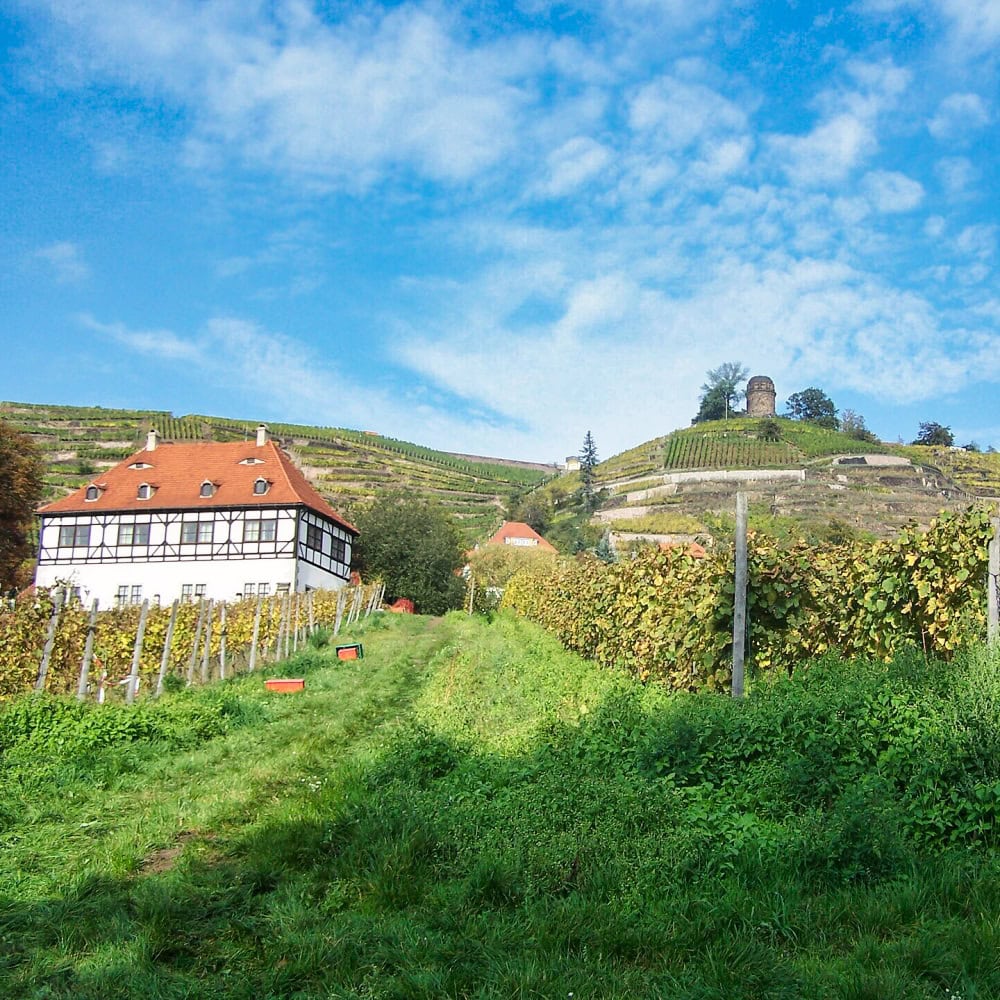 Weinberge und Winzerhaus der Hoflößnitz