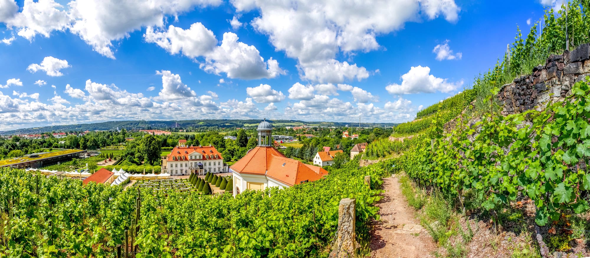 Blick über die Weinberge auf Schloss Wackerbarth bei Radebeul