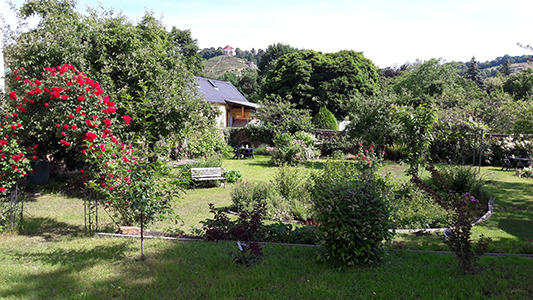 Garten der Ferienwohnung Radebeul mit Rosen, Sitzbank und Blick zum Weinberg