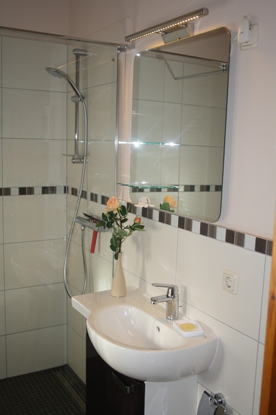Badezimmer, Duschbereich Weinbergblick